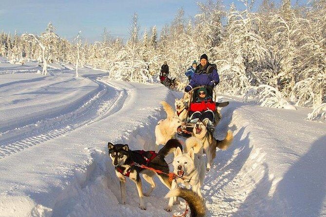 Husky Ride Private Tour from Krakow - In-Depth Review of the Husky Ride Private Tour from Krakow