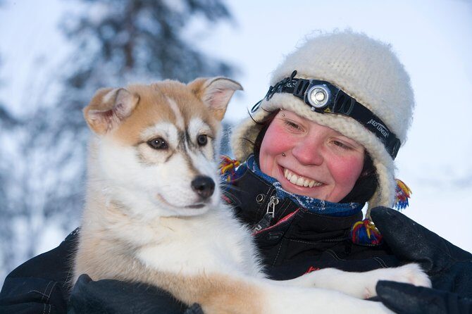 Husky Safari from Rovaniemi Including a Husky Sled Ride - FAQ