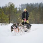 Husky Sledding Self-driving in Rovaniemi - A Deep Dive into the Husky Sledding Self-driving Tour