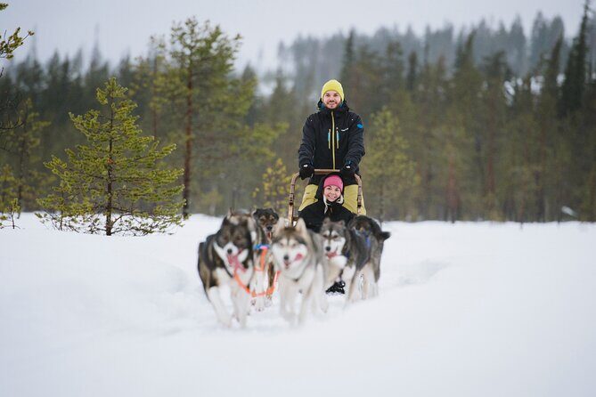Husky Sledding Self-driving in Rovaniemi - A Deep Dive into the Husky Sledding Self-driving Tour