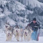 Husky Sleigh Rides experience - Frequently Asked Questions