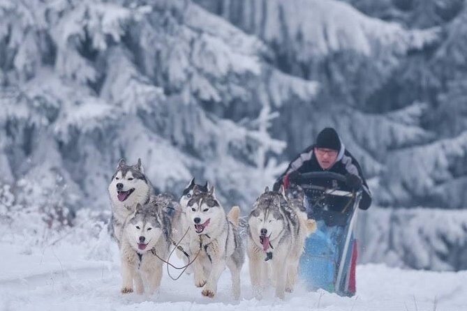 Husky Sleigh Rides experience - Frequently Asked Questions