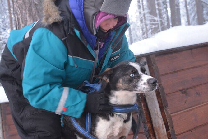 Husky Tour Sit and Drive Combo Tour from Kiruna - Details That Matter