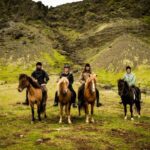 Hveragerdi: Reykjadalur (Hotspring Valley) Horse Riding Tour - Final Thoughts