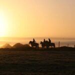 Hveragerdi: The Siggi Horse Riding Tour - A Detailed Look at the Siggi Horse Riding Tour