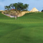 Iberostar Playa Paraiso Golf Club | Tee time Riviera Maya - Who Should Consider This Tour?