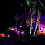 IBIZA: Astro Magic Lights at Bibo Park - An In-Depth Look at Ibiza’s Astro Magic Lights at Bibo Park