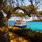 Ibiza: Beach Hopping Cruise w/ Paddleboard, Food, & Drinks - An In-Depth Look at the Ibiza Beach Hopping Cruise
