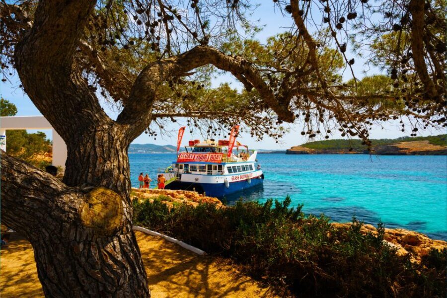 Ibiza: Beach Hopping Cruise w/ Paddleboard, Food, & Drinks - An In-Depth Look at the Ibiza Beach Hopping Cruise
