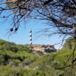 Ibiza: Crystal Coast Walk with Swim Stop - A Closer Look at the Ibiza Crystal Coast Walk