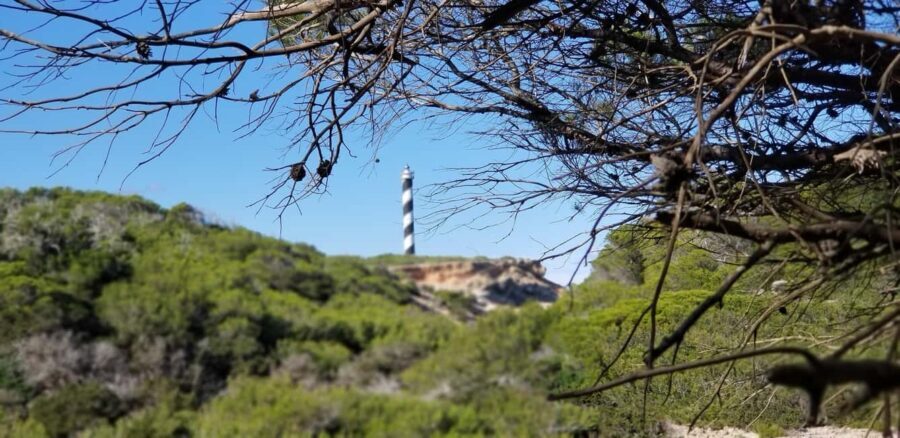 Ibiza: Crystal Coast Walk with Swim Stop - A Closer Look at the Ibiza Crystal Coast Walk