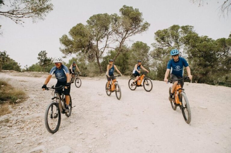 Ibiza eBike experience - Tracks, Trails and Hidden Beaches. - Who Should Consider This Tour?