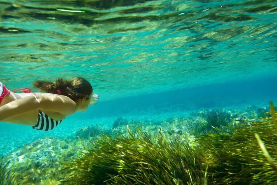 Ibiza: Formentera Cruise w/ Open Bar, Paella & Water Sports
