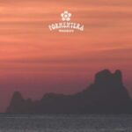 Ibiza: Formentera Sailing w/BBQ, Open Bar & Water Activities - A Deep Dive into the Experience