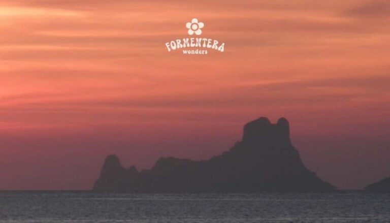 Ibiza: Formentera Sailing w/BBQ, Open Bar & Water Activities - A Deep Dive into the Experience