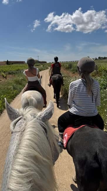 Ibiza: Private Horseback Ride + Picnic + Transport - Exploring Ibiza on Horseback: What to Expect
