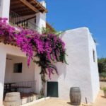 IBIZA Wine Tour: Wine Tasting + TAPAS + Olive Oil+ Transport - Practical Details & What You Should Know