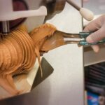 Ice Cream Show - A Detailed Look at the Gelato-Making Class