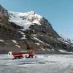 Icefield: Bow Lake, Columbia Icefield, Peyto Lake Day Tour - Who Should Take This Tour?