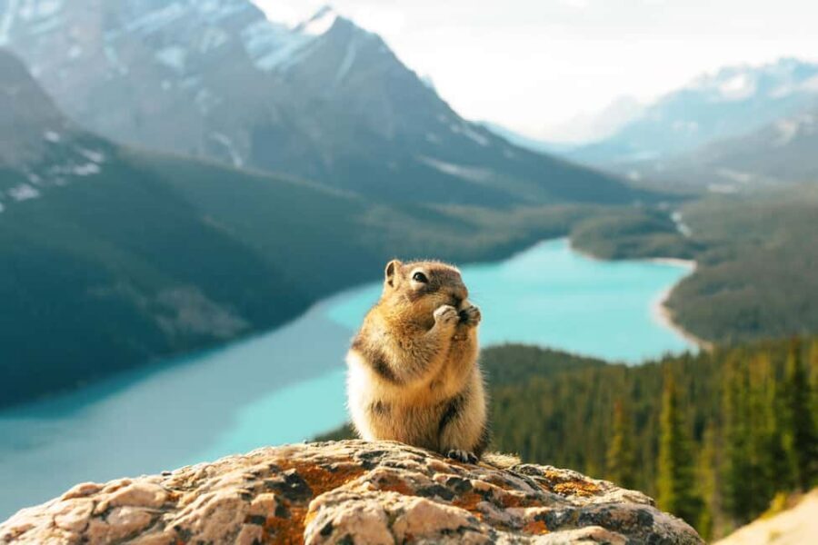 Icefields Parkway Glacier Adventure + Columbia Skywalk - Frequently Asked Questions