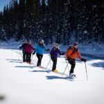 Icefields Parkway & Ice Bubbles of Abraham Lake Adventure - Final Thoughts: Is This Tour for You?