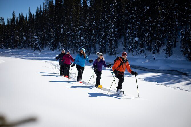 Icefields Parkway & Ice Bubbles of Abraham Lake Adventure - Final Thoughts: Is This Tour for You?