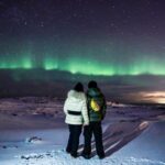 Iceland: Northern Lights Bus Tour from Reykjavik - A Detailed Look at the Northern Lights Bus Tour