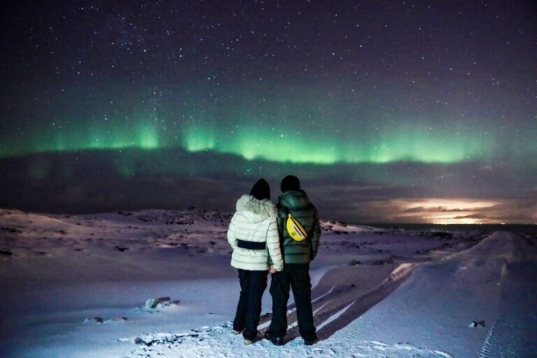 Iceland: Northern Lights Bus Tour from Reykjavik - A Detailed Look at the Northern Lights Bus Tour