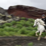 Iceland: Volcanic Landscape Horse Riding Tour - What to Expect and How to Prepare