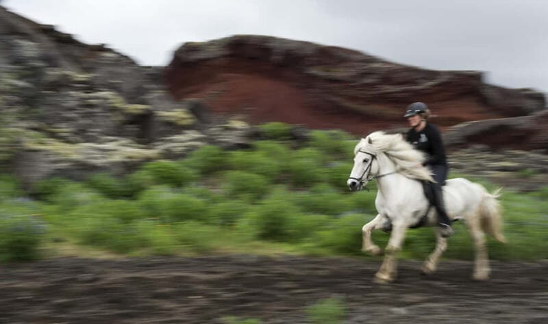 Iceland: Volcanic Landscape Horse Riding Tour - What to Expect and How to Prepare