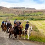 Icelandic Horse Riding and Whale Watching Cruise from Reykjavík - The Experience in Detail