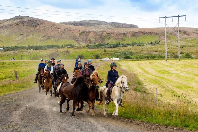 Icelandic Horse Riding and Whale Watching Cruise from Reykjavík - The Experience in Detail