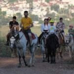 Icmeler Horse Riding Through The Rivers and Forest - The Photographer and Keepsakes