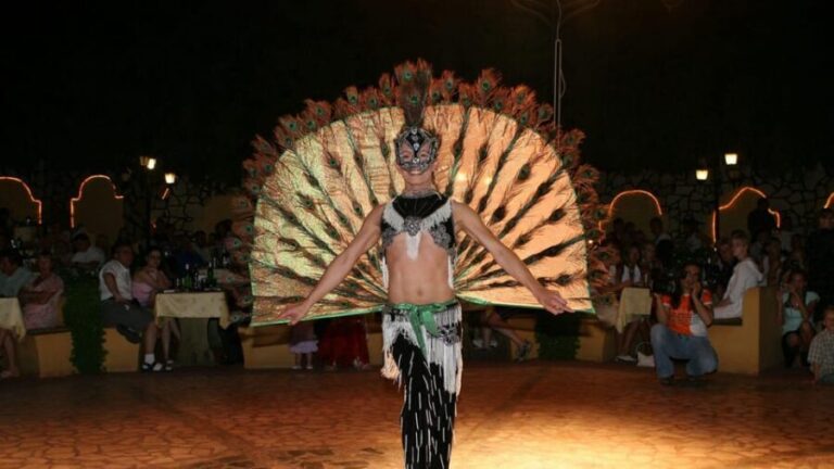 Icmeler Traditional Turkish Night Show w/ Dinnner and Drinks - A Detailed Look at the Icmeler Turkish Night Experience