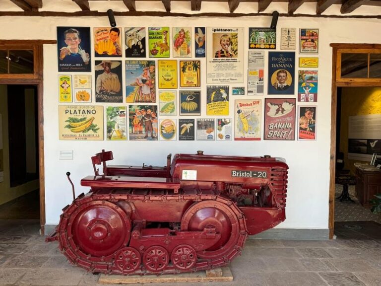 Icod de los Vinos: Casa del Plátano Entry Ticket - A Detailed Look at What You Can Expect