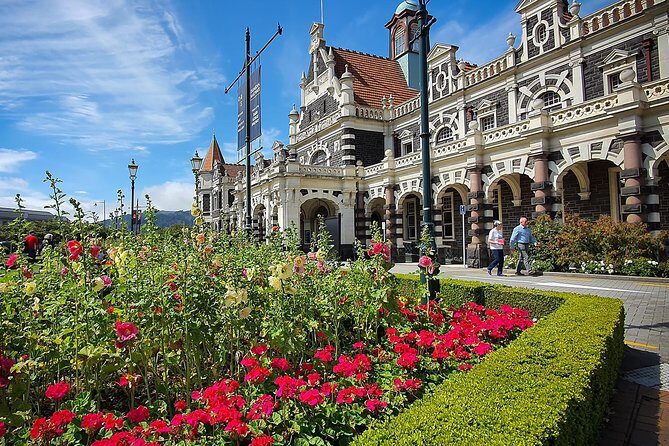 Iconic Shore Excursion: Dunedin City Highlights Tour - Who Would Enjoy This Tour?