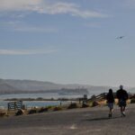 Iconic Wildlife Tour with Yellow Eyed Penguins & Royal Albatross - What the Reviews Say