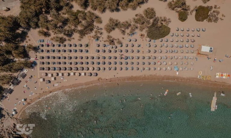 Ierapetra-Makrigialos: Vai Palm Beach, Moni Toplou & Sitia - Authentic Experiences and Practical Tips
