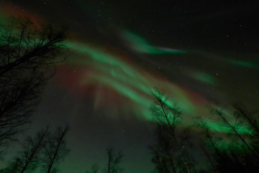 Ii: Snowmobile sleigh trip on frozen sea under starlit sky - The Sum Up