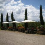 Il Molino di Grace: Vineyard & Cellar Tour with Wine Tasting - Final Thoughts: Why Choose This Tour?