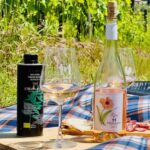 Il Molino di Grace: Vineyard Tour, Wine Tasting, and Picnic - A Deep Dive into the Vineyard Experience