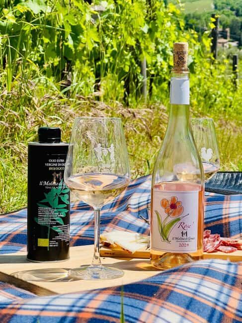 Il Molino di Grace: Vineyard Tour, Wine Tasting, and Picnic - A Deep Dive into the Vineyard Experience