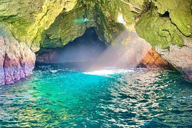 Ile Des Phoques and Maria Island Cruise and Walk Day Tour with Lunch - Why You Should Consider This Tour