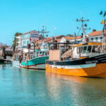 Ile d'Oléron - Boyardville : boat trip to Fort Boyard 1h00 - The Experience in Detail