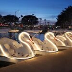 Illuminated Swan Boat Night Ride on Rainbow Lagoon in Long Beach - Authentic Traveler Feedback