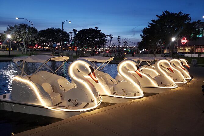 Illuminated Swan Boat Night Ride on Rainbow Lagoon in Long Beach - Authentic Traveler Feedback