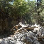 Imbros Gorge Hike From Rethymno - Final Thoughts: Who Should Consider This Tour?