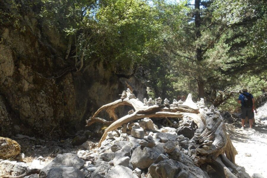 Imbros Gorge Hike From Rethymno - Final Thoughts: Who Should Consider This Tour?