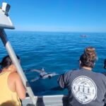 'Imiloa Express N Pali Snorkel Tour - FAQs