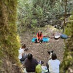 Immerse in the Nature: Deep Connection through Forest Bathing - A Closer Look at the Forest Bathing Tour